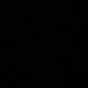 Meet your Posher, Alana